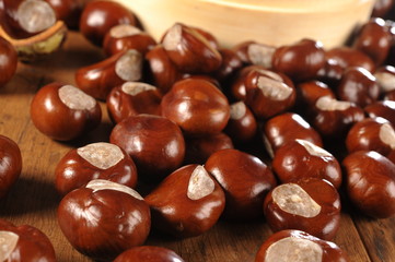 chestnuts and rowan