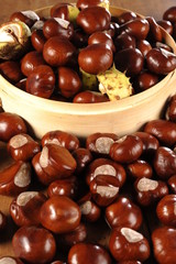 chestnuts and rowan