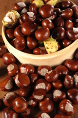 chestnuts and rowan
