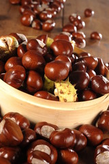 chestnuts and rowan
