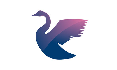 Naklejka premium Colorful Swan Illustration