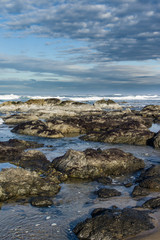 Pacific coast tide pool with clouds