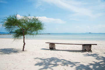 tree with a bench on the beach