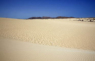 désert de l'île de fuerteventura
