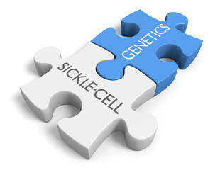 Fototapeta premium Link between genetics and the disorder sickle-cell disease