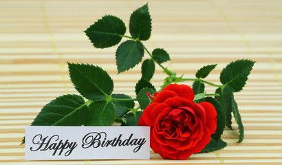 Happy Birthday card with red wild rose

