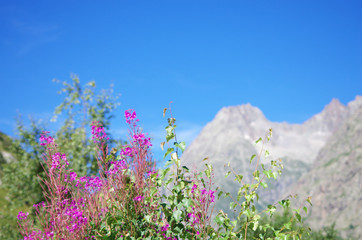 Parc national des écrins - france