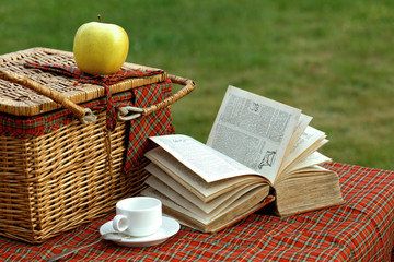 Picnic basket and book on the grass