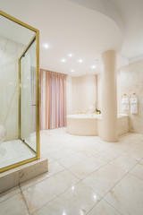 Exclusive spacious bathroom interior