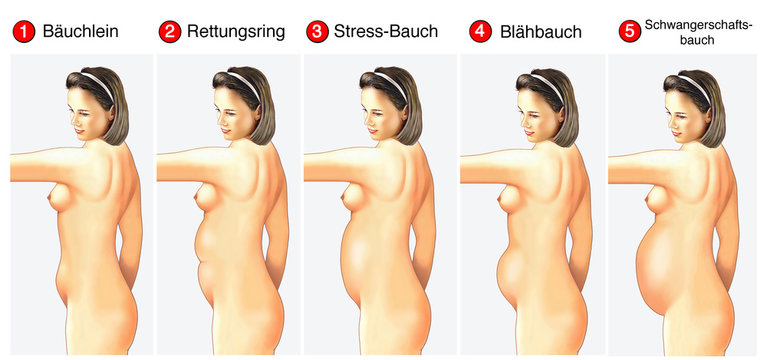 Unterschiedliche Bauchformen