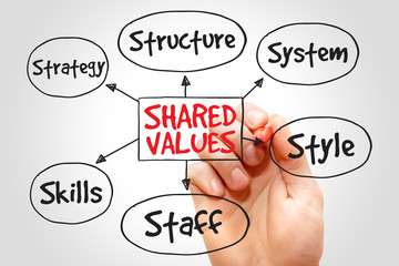 Shared values management business strategy mind map concept