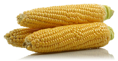 Corn