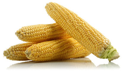 Corn