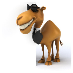 Fun camel