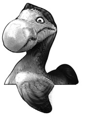 Dodo © Julien Tromeur