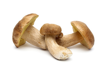 Fresh wild mushrooms isolated on white background
