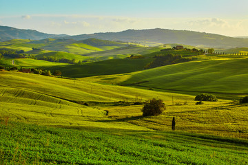 Fototapeta na wymiar Tuscany hills. Italy. May.