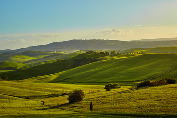 Fototapeta na wymiar Tuscany hills. Italy. May.