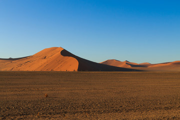 Fototapeta na wymiar Sossusvlei dunes