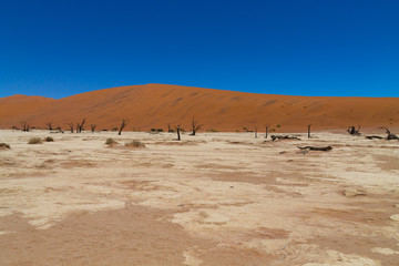 Dead Vlei