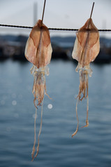 Dried squid