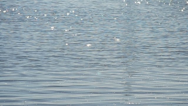 Bright blue water surface shimmering in the sun with sparkles