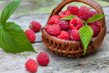 Fresh ripe raspberries in small wicker basket 
