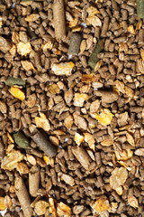 natural grain sportive  muesli background. for horse.