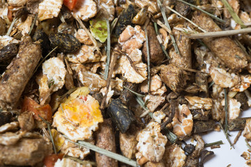  natural  muesli  background. for horse. macro