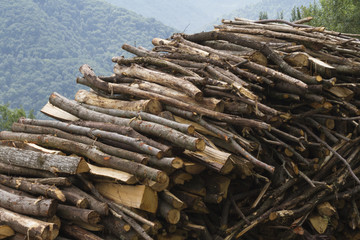 pile of wood in the mountains