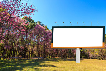 blank billboard for advertising