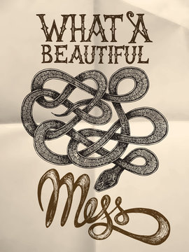 Illustration of a snake with "What a beutiful mess" hand drawn quote on the white paper textured background