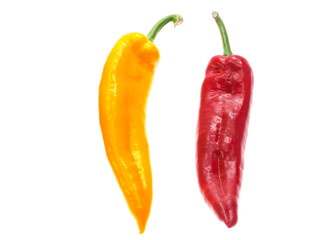 pointed capsicum