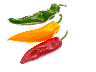pointed capsicum