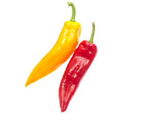 pointed capsicum
