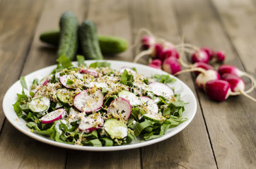 A useful salad with radishes, ogrtsami, ramson and sprouts mustard 