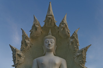 Fototapeta premium Statue of Buddha 