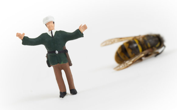 Miniature police officer guarding a crime scene - dead wasp