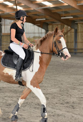 représentation de dressage © Image'in