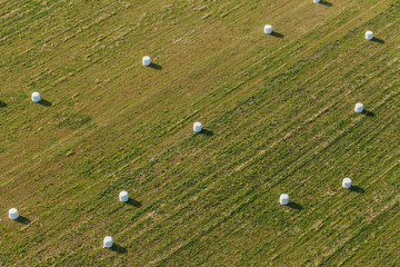 Obraz premium aerial view of hay bales on the field