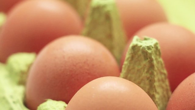 Variety of fresh farm eggs, close up, in carton