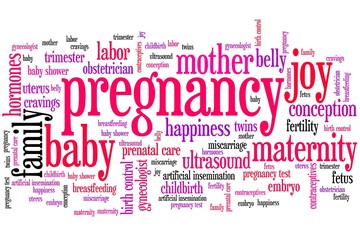 Obraz premium Pregnancy - word cloud