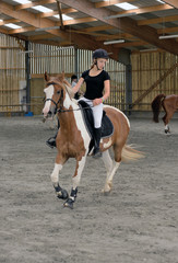 représentation de dressage © Image'in