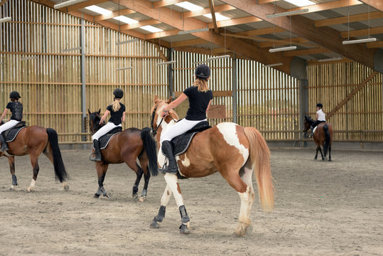 dressage