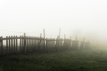 vintage foggy fence