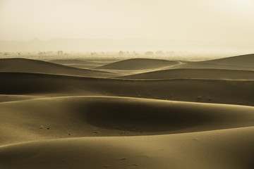 Fototapeta na wymiar Gold dunes