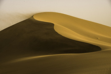 Gold dune
