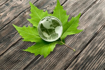 Alternative Energy, Environment, Earth.