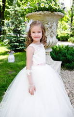 Adorable smiling little girl in princess dress