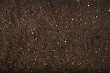 brown background of soil for gardening studio shoot